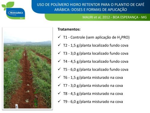 uso de polímero hidro retentor para o plantio de café arábica