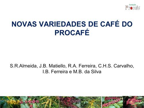 As novas variedades do PROCAFÉ - Fundação Procafé