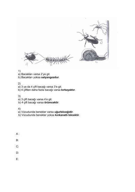 2005-2006 Öğretim Yılı 1.Dönem Ara sınav soru tarzı ve örnekleri ...