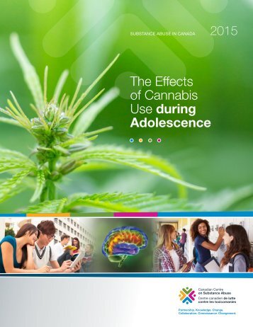 CCSA-Effects-of-Cannabis-Use-during-Adolescence-Report-2015-en
