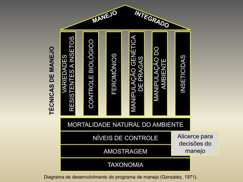 Influência do manejo do mato na entrelinha do cafeeiro sobre a ...