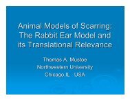 Thomas Mustoe, MD, Northwestern University Medical Faculty ...