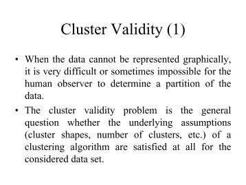 Cluster Validity (1)