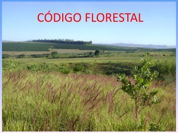 CÓDIGO FLORESTAL