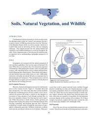 Soils, Natural Vegetation, and Wildlife - Department of Geography ...