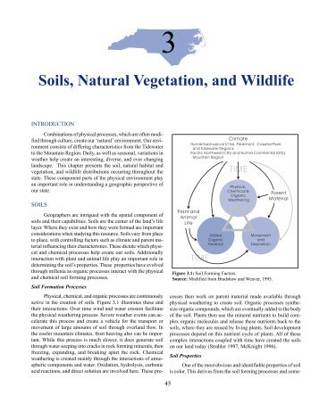 Soils, Natural Vegetation, and Wildlife - Department of Geography ...