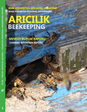 ÜLKE / BÖLGE ARICILIK RAPORU / COUNTRY/REGIONAL BEEKEEPING REPORT