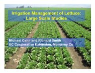 Water Management of Lettuce Field Scale Studies, Michael Cahn
