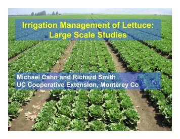 Water Management of Lettuce Field Scale Studies, Michael Cahn