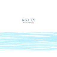 Where the river meets the sea - Kalix