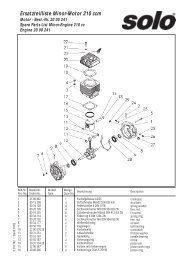 Minor-Motore 210 ccm.pdf - motoruf.com