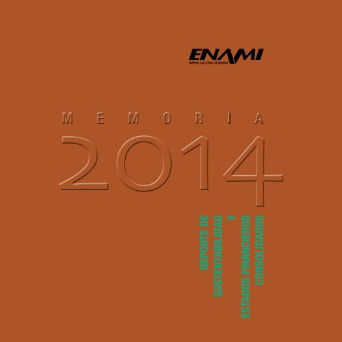 enami memoria y eeff 2014 web