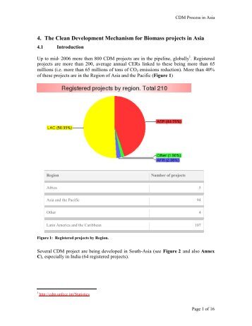 4. The Clean Development Mechanism for Biomass projects in Asia