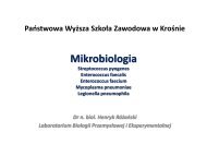 Enterococcus faecalis - luskiewnik.strefa.pl
