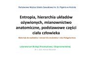 Entropia, hierarchia układów ożywionych - luskiewnik.strefa.pl