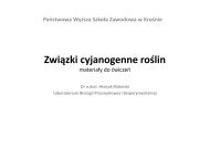 Związki cyjanogenne roślin - luskiewnik.strefa.pl