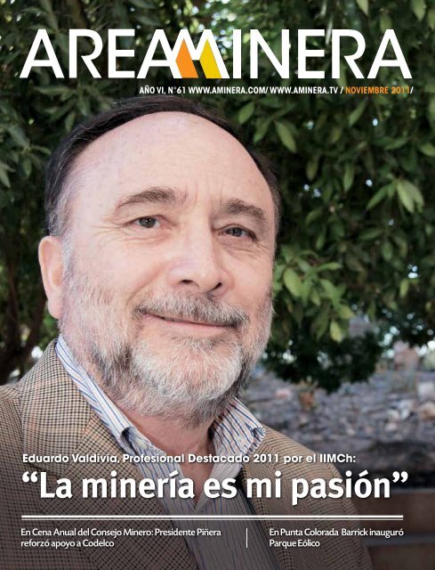 Actualidad - Areaminera