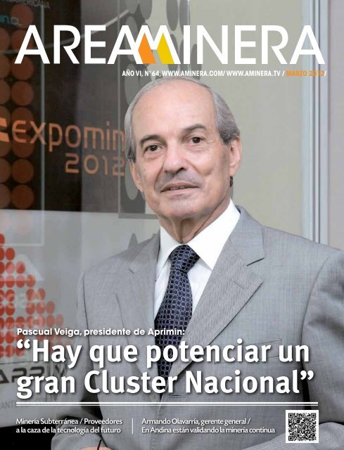 Entrevista - Areaminera