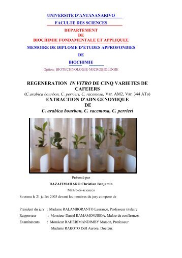 REGENERATION IN VITRO DE CINQ VARIETES DE CAFEIERS ...