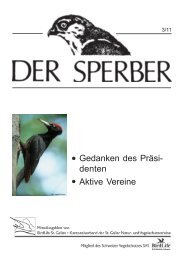 Sperber 3/11 - BirdLife St.Gallen