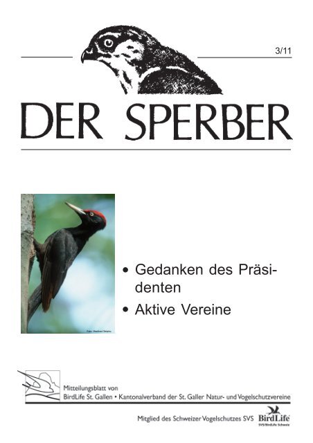 Sperber 3/11 - BirdLife St.Gallen