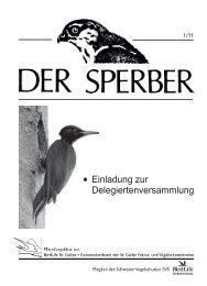 Sperber 1/11 - BirdLife St.Gallen