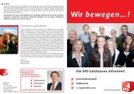 Wahlprogramm Salzhausen 2011 - SPD Hohe Geest