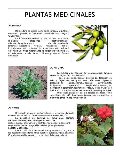 Plantas Medicinales