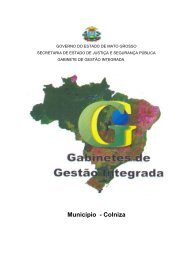 Estudo GGIM - SeguranÃ§a PÃºblica - Governo do Estado de Mato ...