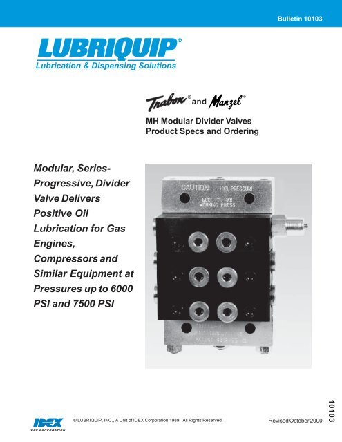 Progressive, Divider Valve Delivers Positive Oil Lubrication for Gas ...