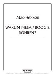 Hinweisblatt Warum Mesa Boogie Röhren.draft1.indd