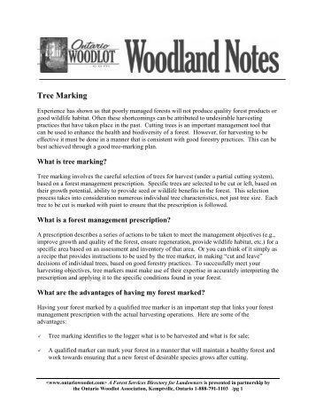 Tree Marking - Ontario woodlot.com