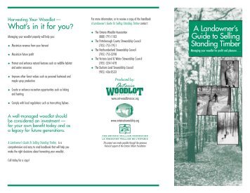 A Landowner's Guide to Selling Standing Timber - Ontario woodlot ...