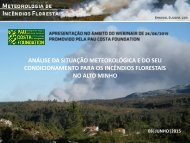 ANÁLISE DA SITUAÇÃO METEOROLÓGICA E DO SEU CONDICIONAMENTO PARA OS INCÊNDIOS FLORESTAIS NO ALTO MINHO