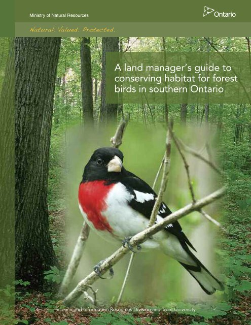 A land manager's guide to conserving habitat for forest birds in