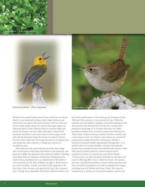 A land manager's guide to conserving habitat for forest birds in ...