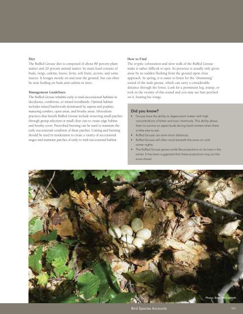 A land manager's guide to conserving habitat for forest birds in ...