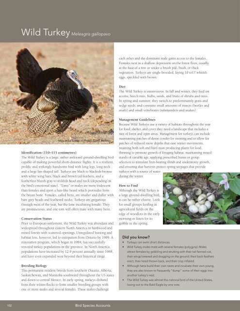 A land manager's guide to conserving habitat for forest birds in ...