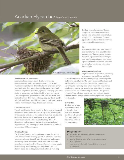 A land manager's guide to conserving habitat for forest birds in ...