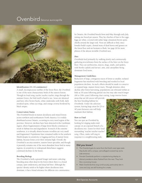 A land manager's guide to conserving habitat for forest birds in ...
