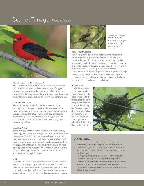 A land manager's guide to conserving habitat for forest birds in ...