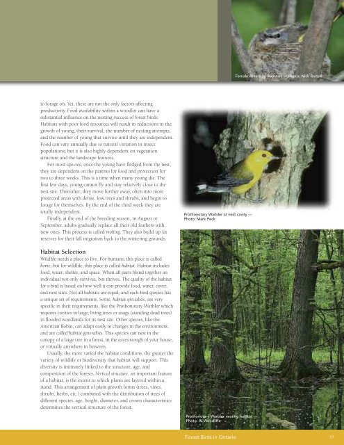 A land manager's guide to conserving habitat for forest birds in ...