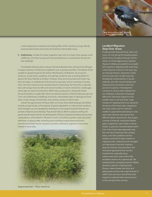 A land manager's guide to conserving habitat for forest birds in ...