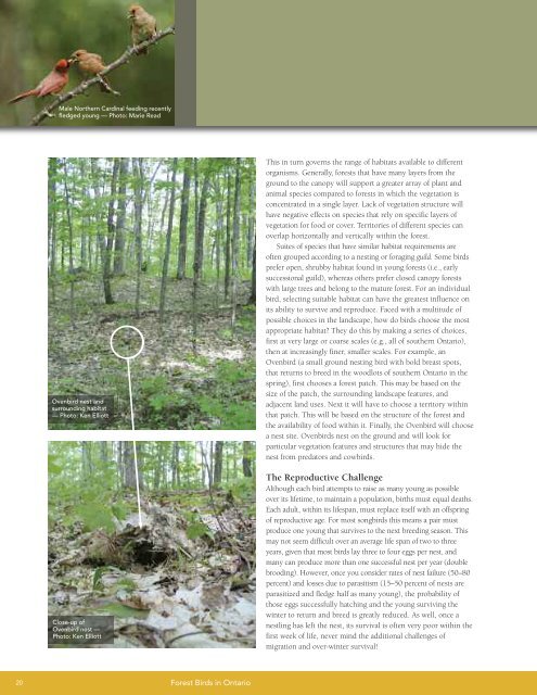 A land manager's guide to conserving habitat for forest birds in ...