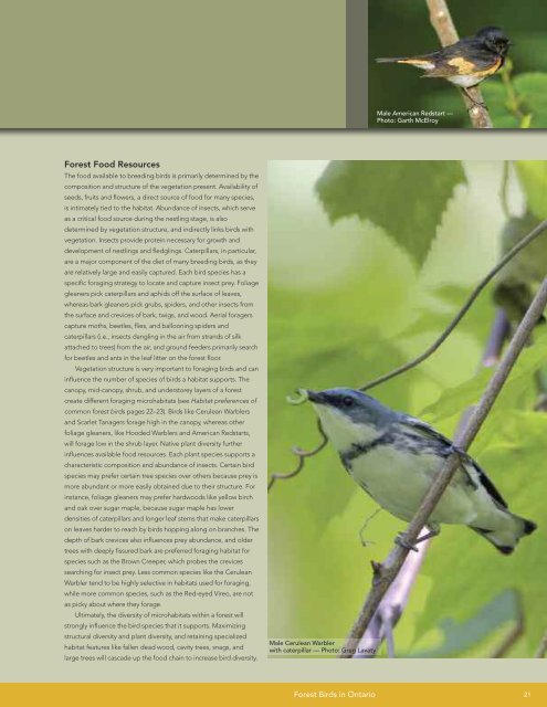 A land manager's guide to conserving habitat for forest birds in ...