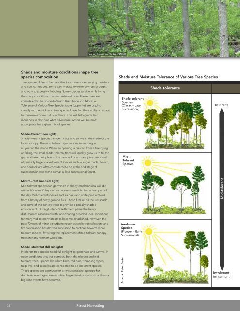 A land manager's guide to conserving habitat for forest birds in ...