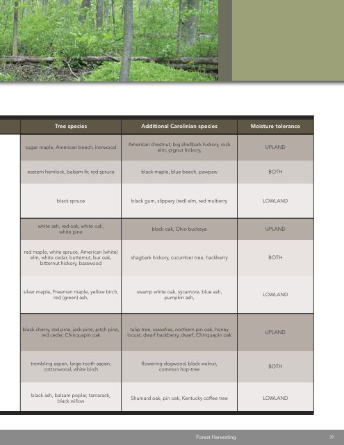 A land manager's guide to conserving habitat for forest birds in ...