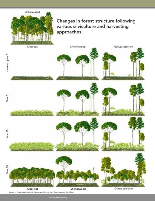 A land manager's guide to conserving habitat for forest birds in ...