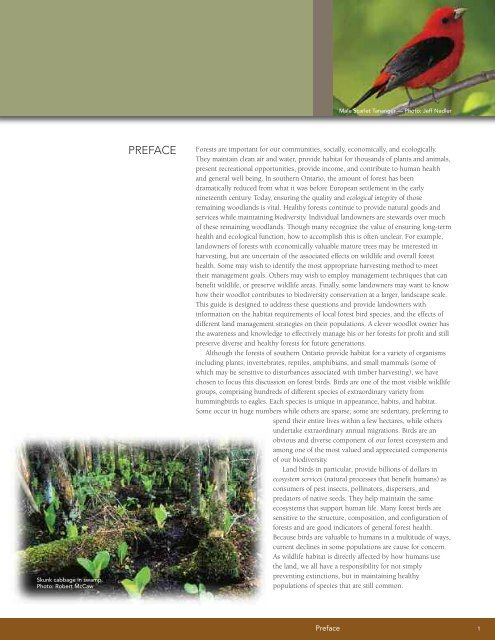 A land manager's guide to conserving habitat for forest birds in ...