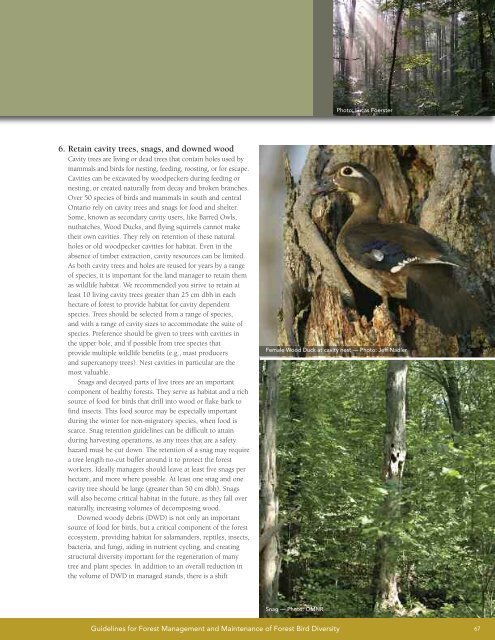 A land manager's guide to conserving habitat for forest birds in ...